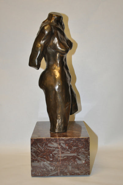 Female Torso 2
