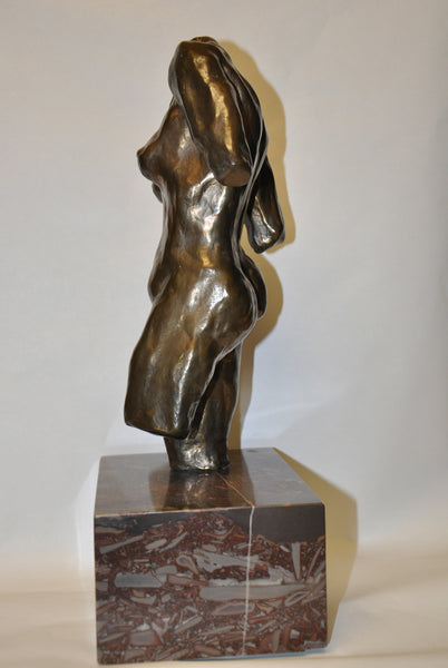 Female Torso 2