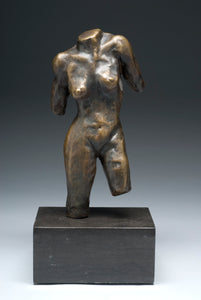 Female Torso