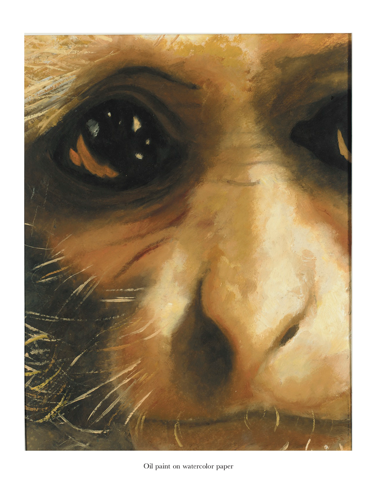 Monkey Eye