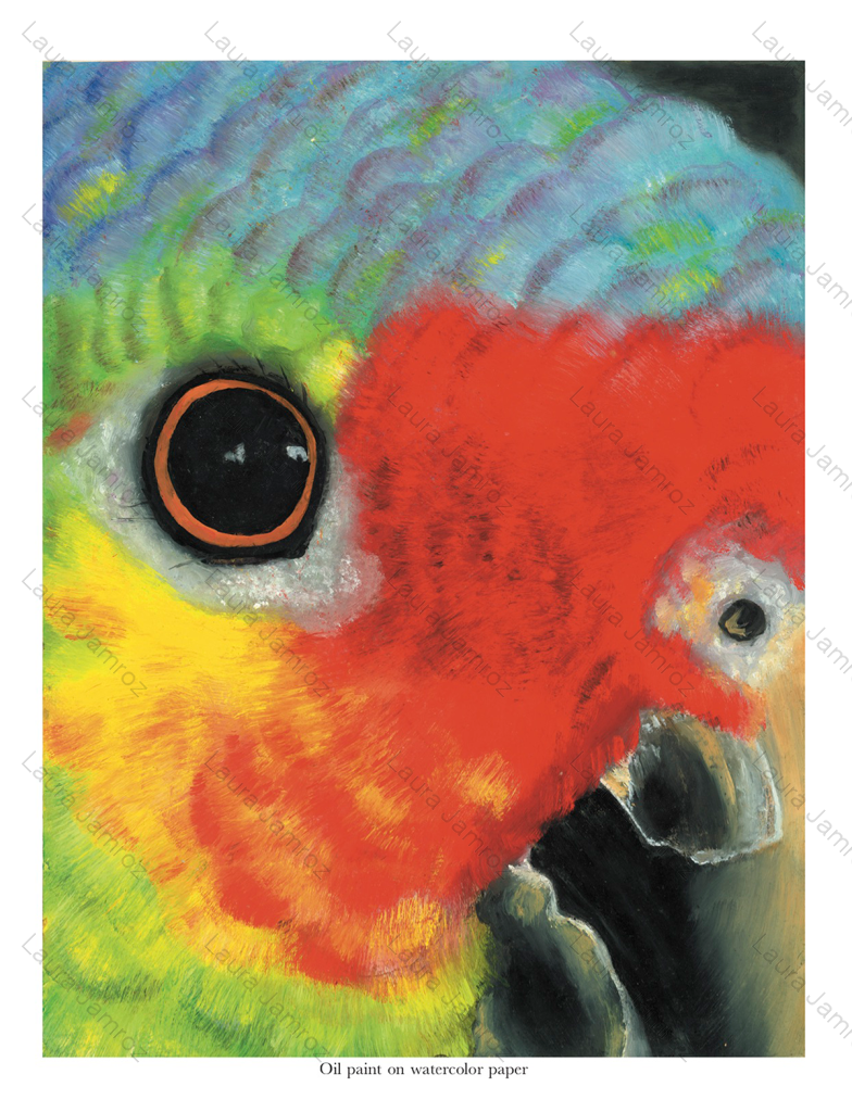 Parrot Eye
