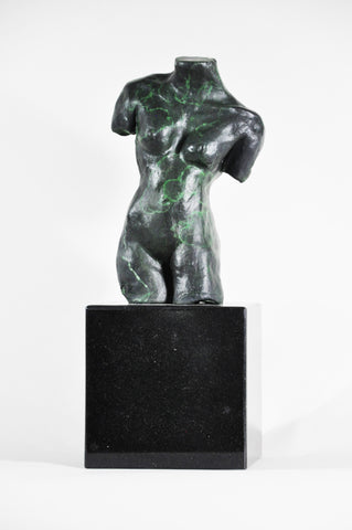 Torso